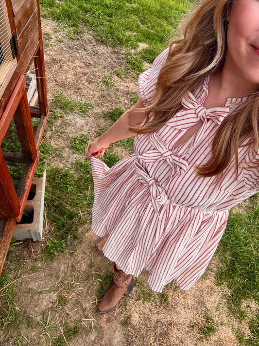 Robe Gracie